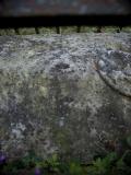image of grave number 144716